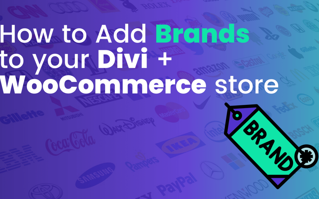 How to Add Brands to your Divi WooCommerce Store (3 Methods)