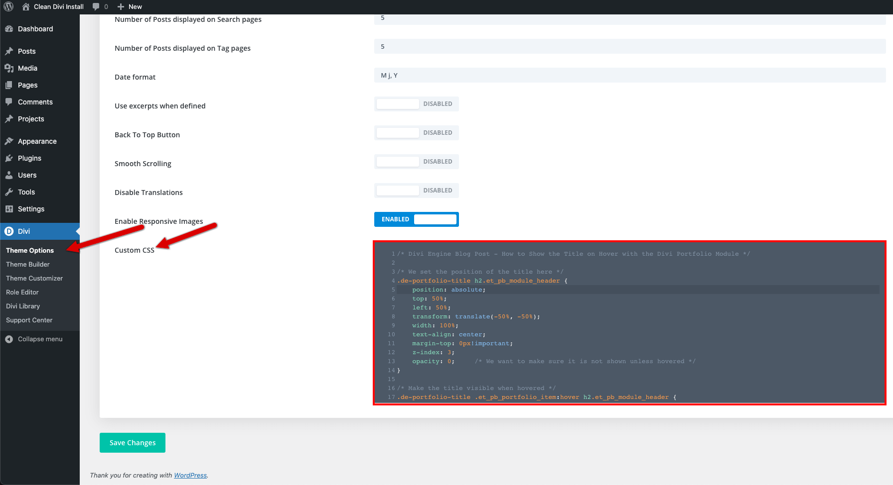 Add CSS Code to Divi Theme Options
