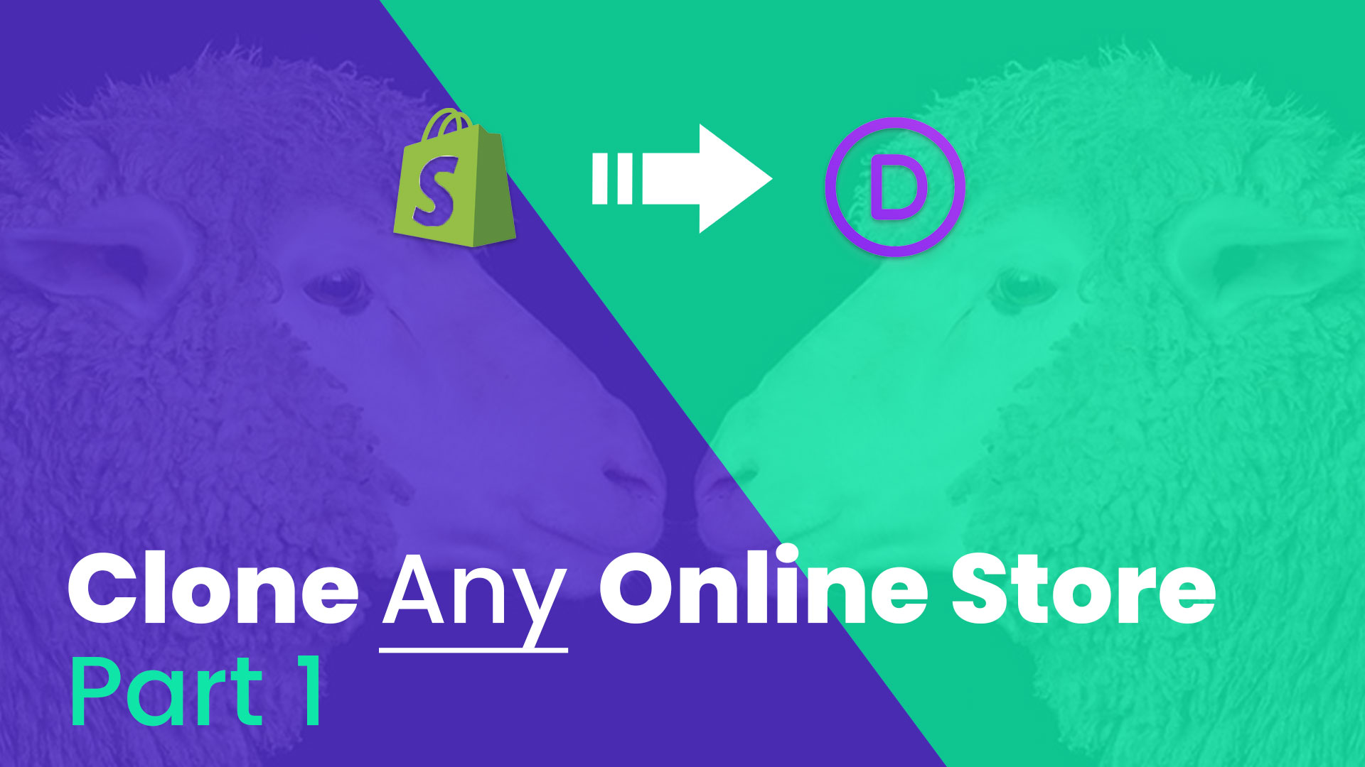 Clone Any Online Store Tutorial Series: Part 1