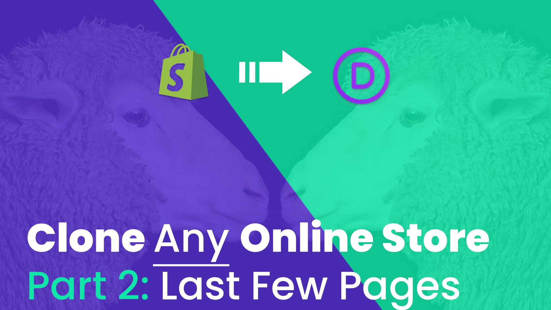 Clone Any Online Store Tutorial Series: Part 2 – Last Few Pages