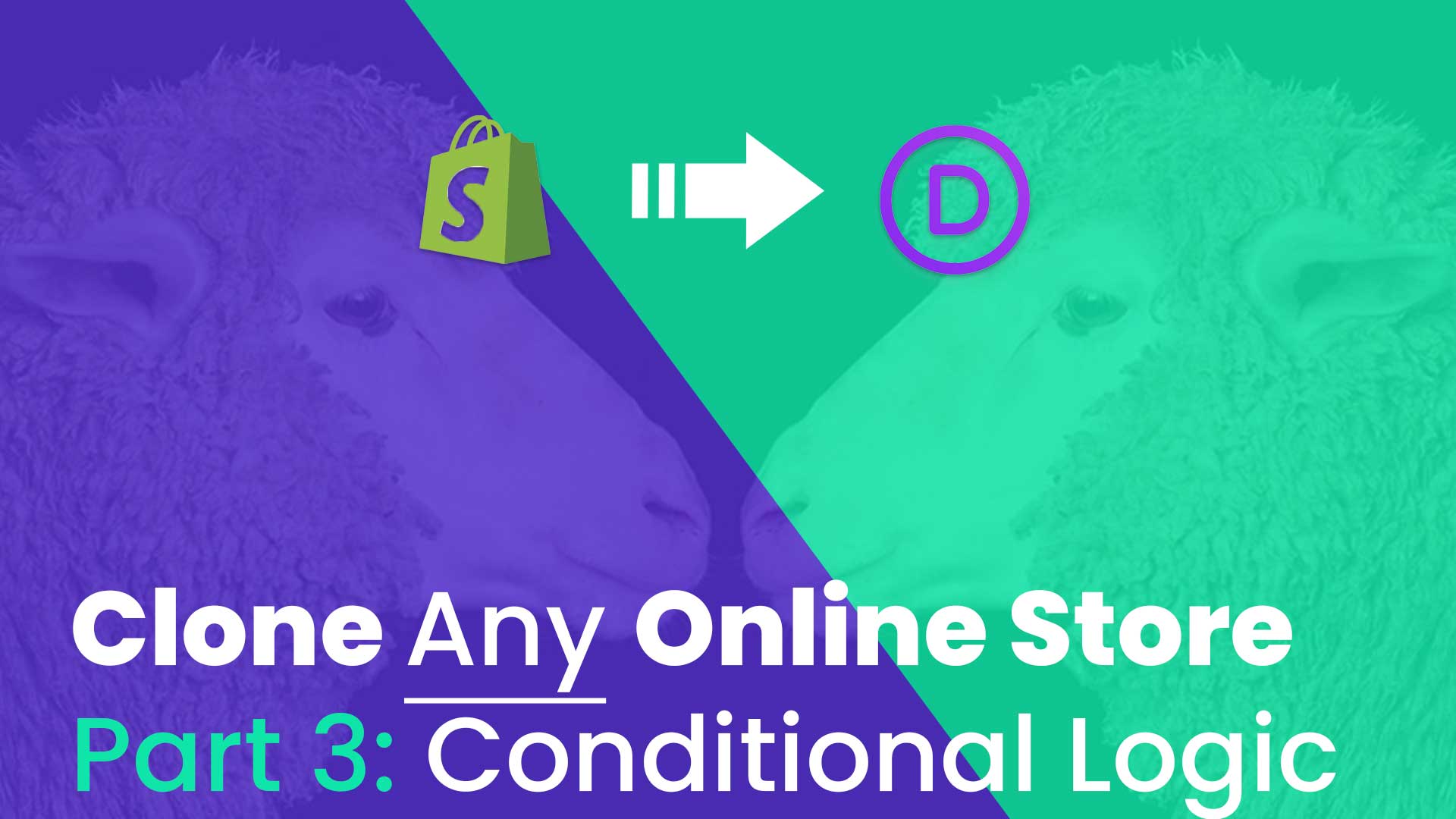 Clone Any Online Store Tutorial Series: Part 3 - Adding Conditional Logic