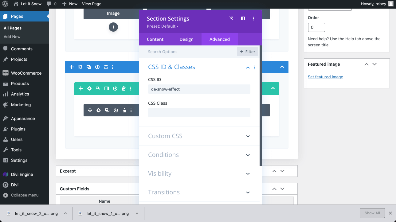 Divi Section CSS ID