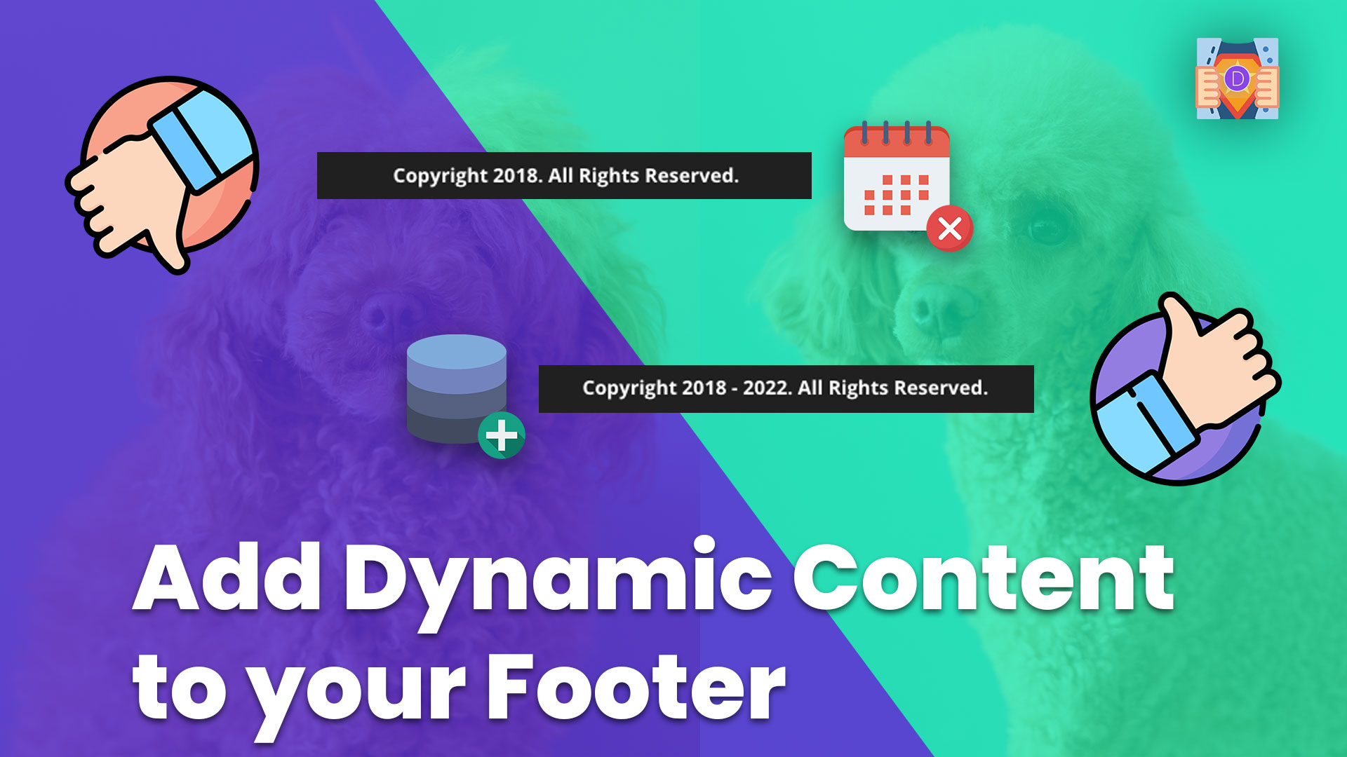 How to Add Dynamic Content to your Global Footer in Divi using the Theme Builder