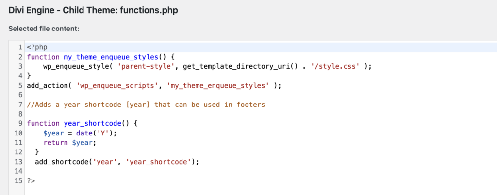Custom Code in functions.php file
